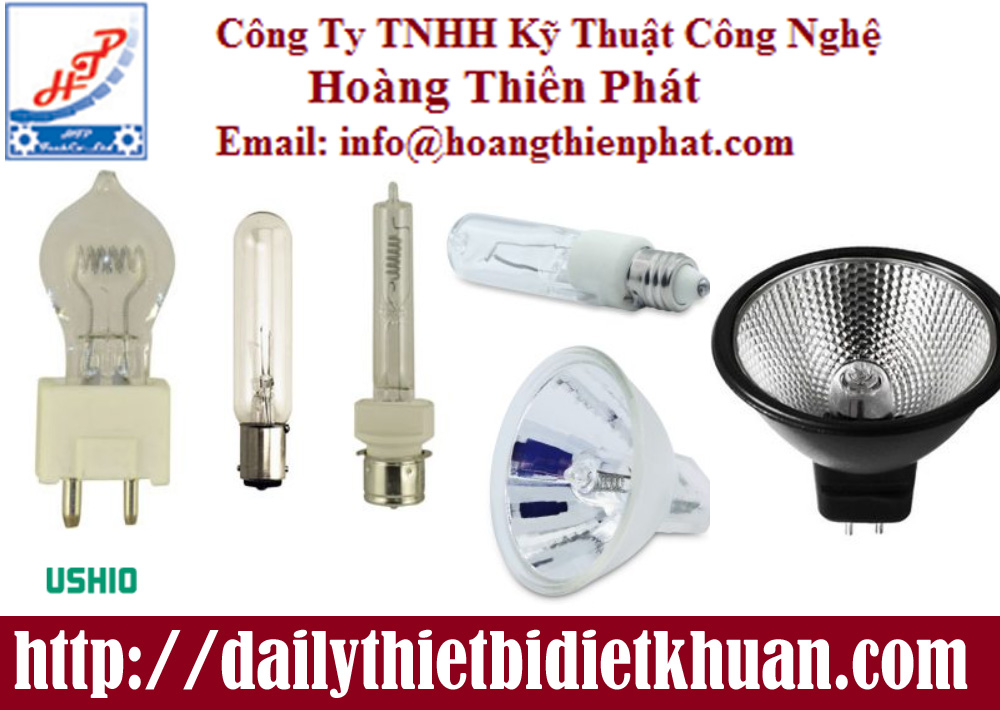 bong-den-soi-mau-ushio